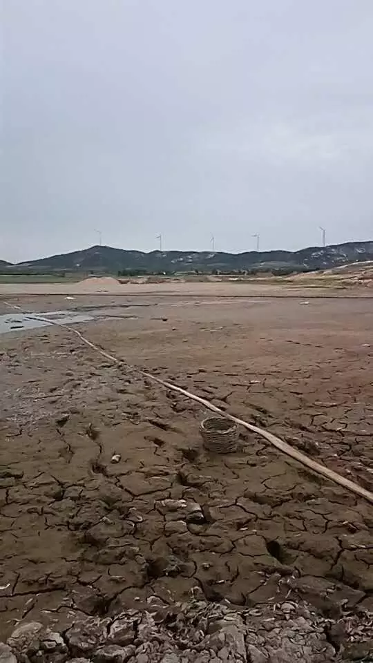 青島河床干涸----沃富新能源中央空調--沃富環?？照{